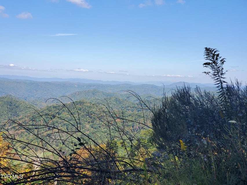 Photo #13: 00 Cloudland Drive 