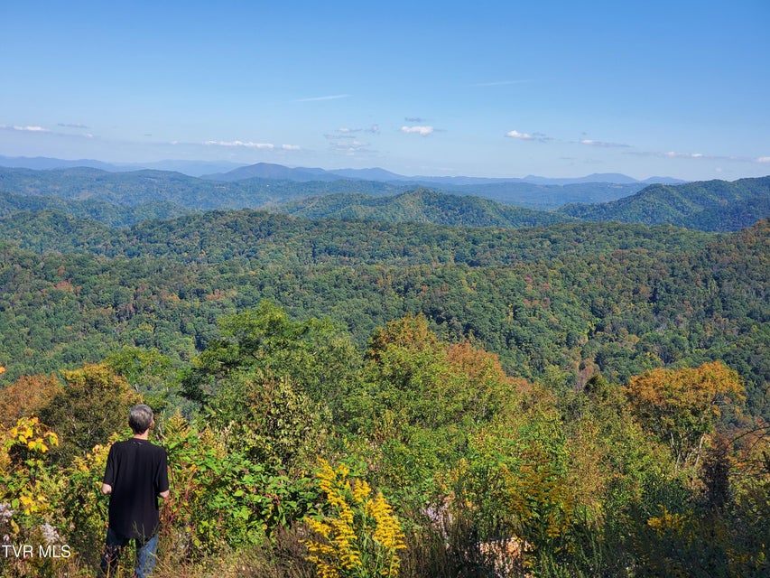 Photo #14: 00 Cloudland Drive 