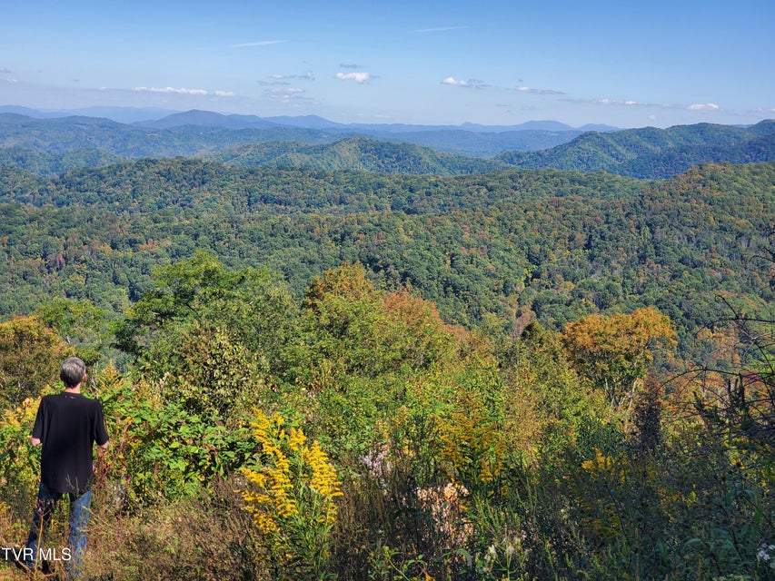 Photo #15: 00 Cloudland Drive 