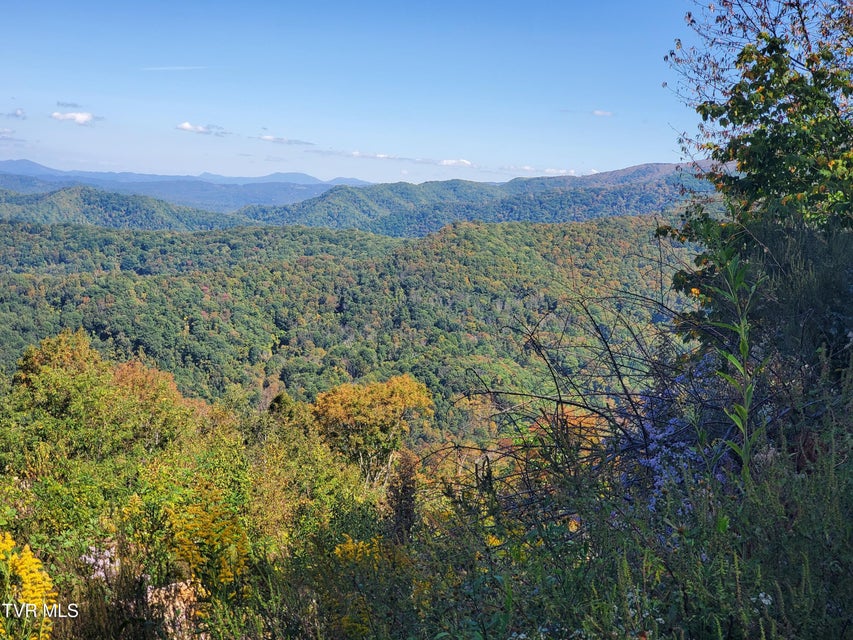 Photo #16: 00 Cloudland Drive 