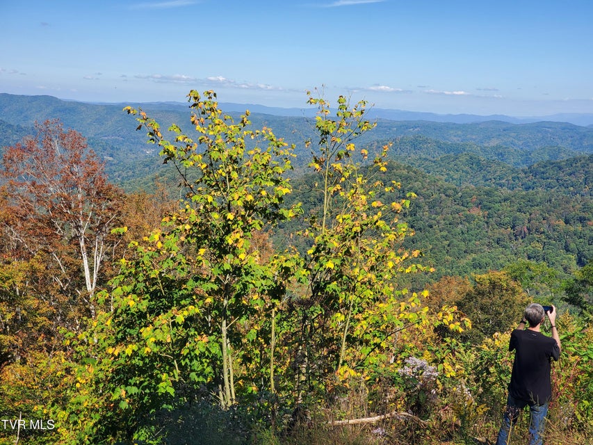 Photo #17: 00 Cloudland Drive 