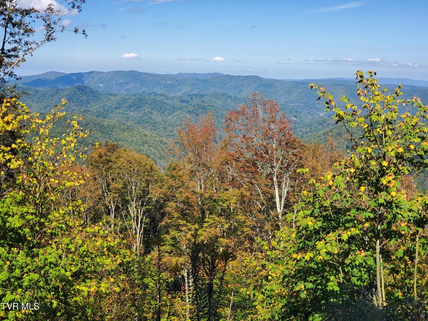 Photo #18: 00 Cloudland Drive 