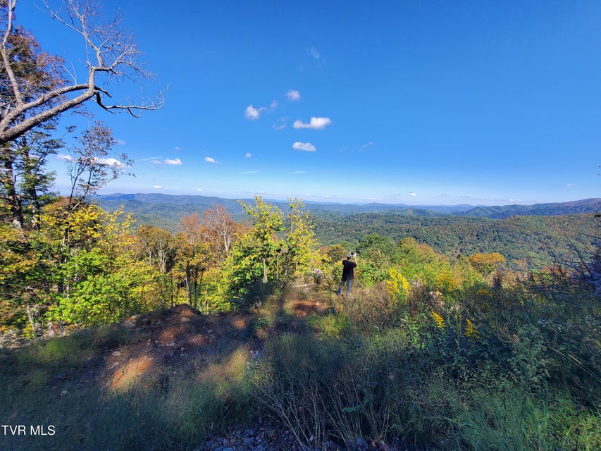 Photo #19: 00 Cloudland Drive 