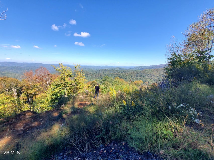 Photo #20: 00 Cloudland Drive 