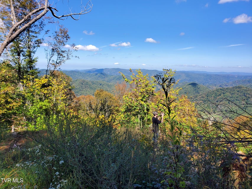 Photo #21: 00 Cloudland Drive 