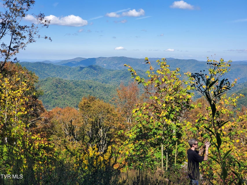 Photo #22: 00 Cloudland Drive 