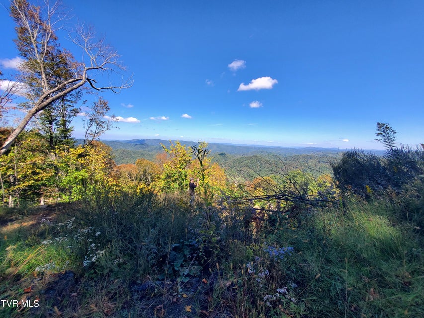 Photo #23: 00 Cloudland Drive 