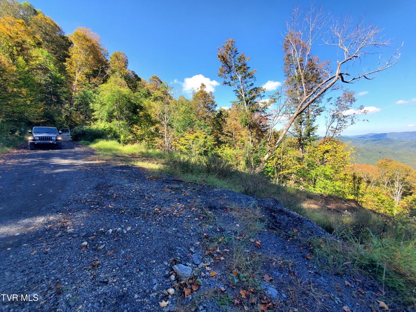 Photo #24: 00 Cloudland Drive 