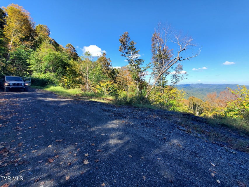 Photo #25: 00 Cloudland Drive 