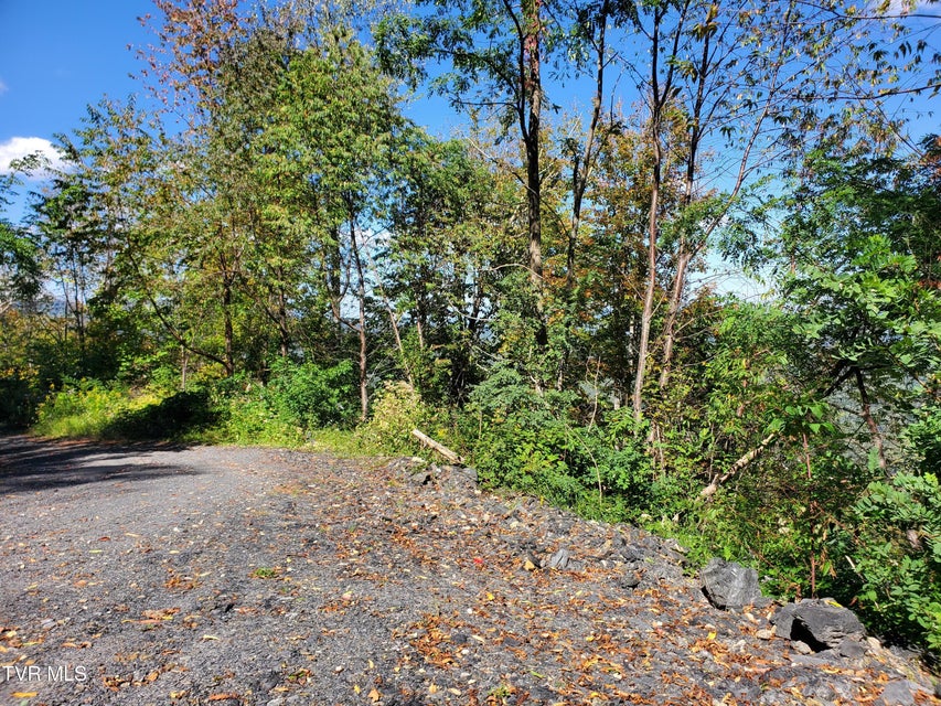 Photo #36: 00 Cloudland Drive 