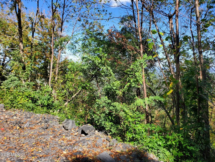 Photo #37: 00 Cloudland Drive 