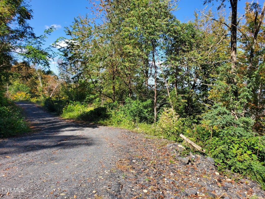 Photo #39: 00 Cloudland Drive 