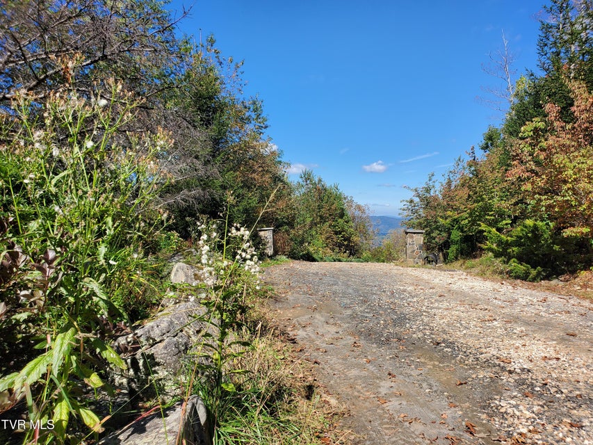 Photo #27: 00 Cloudland Drive 