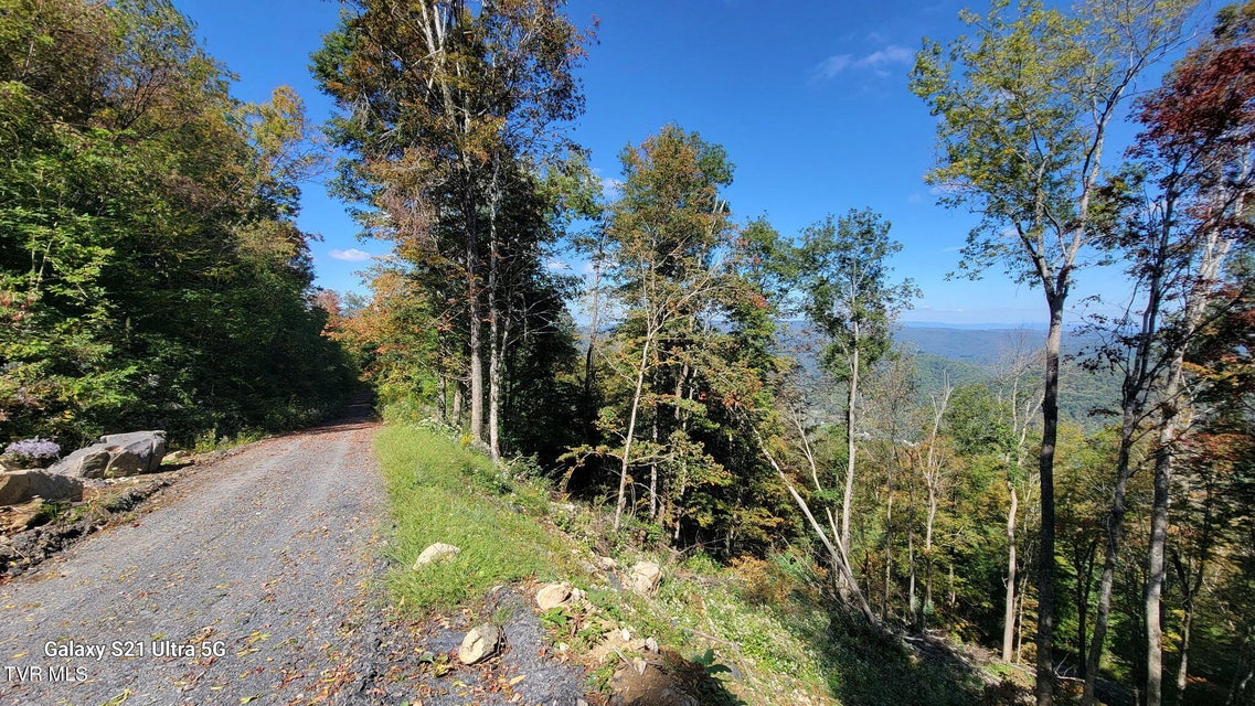 Photo #4: 00 Cloudland Drive 