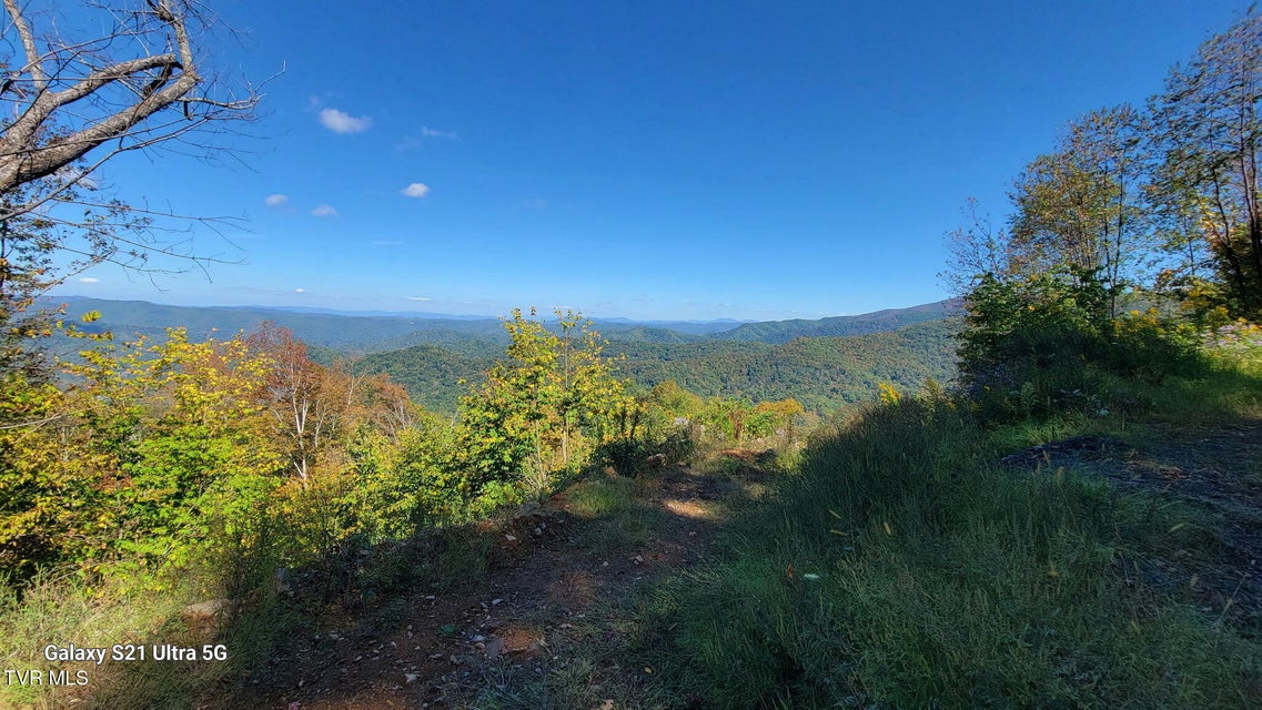 Photo #28: 00 Cloudland Drive 