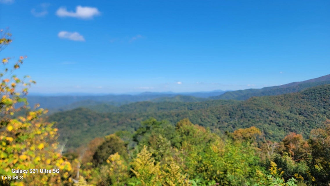 Photo #29: 00 Cloudland Drive 