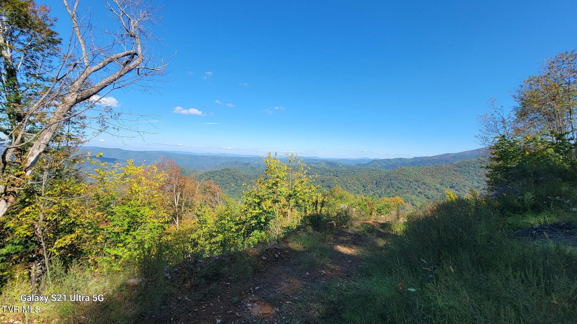 Photo #30: 00 Cloudland Drive 