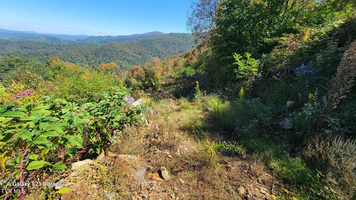 Photo #31: 00 Cloudland Drive 