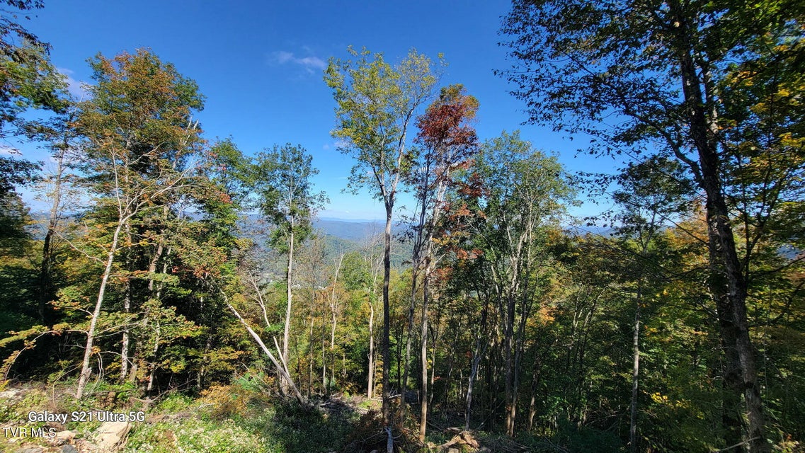 Photo #33: 00 Cloudland Drive 