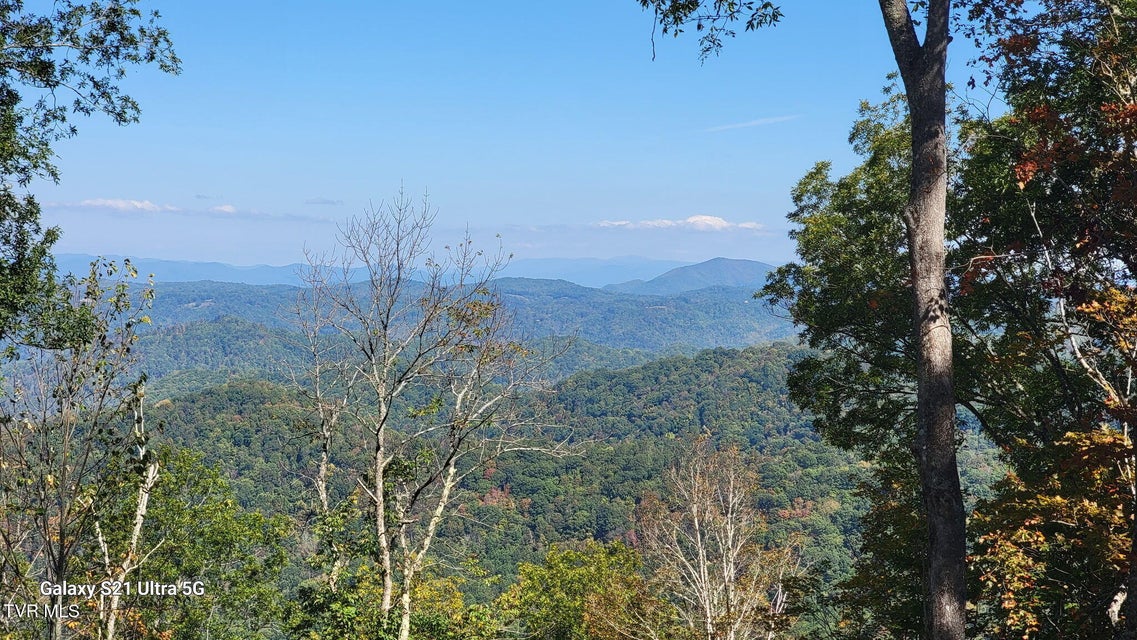 Photo #34: 00 Cloudland Drive 