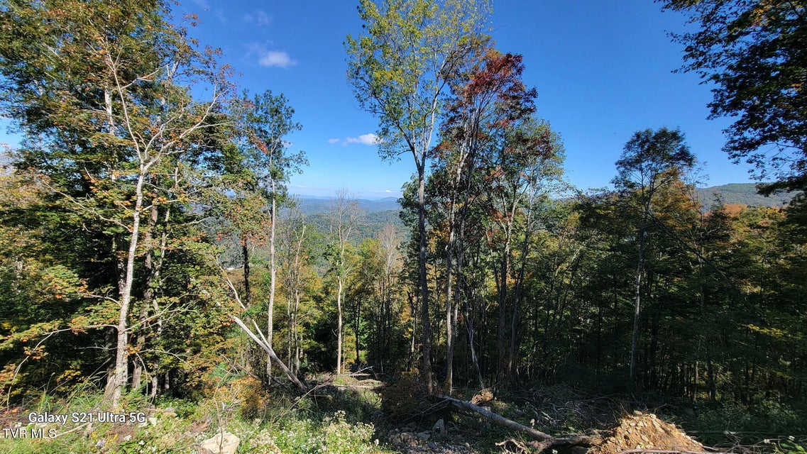 Photo #35: 00 Cloudland Drive 