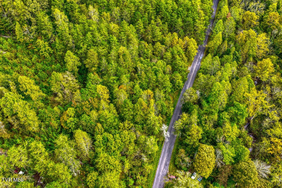 Photo #9: Tbd Butcher Valley Road 