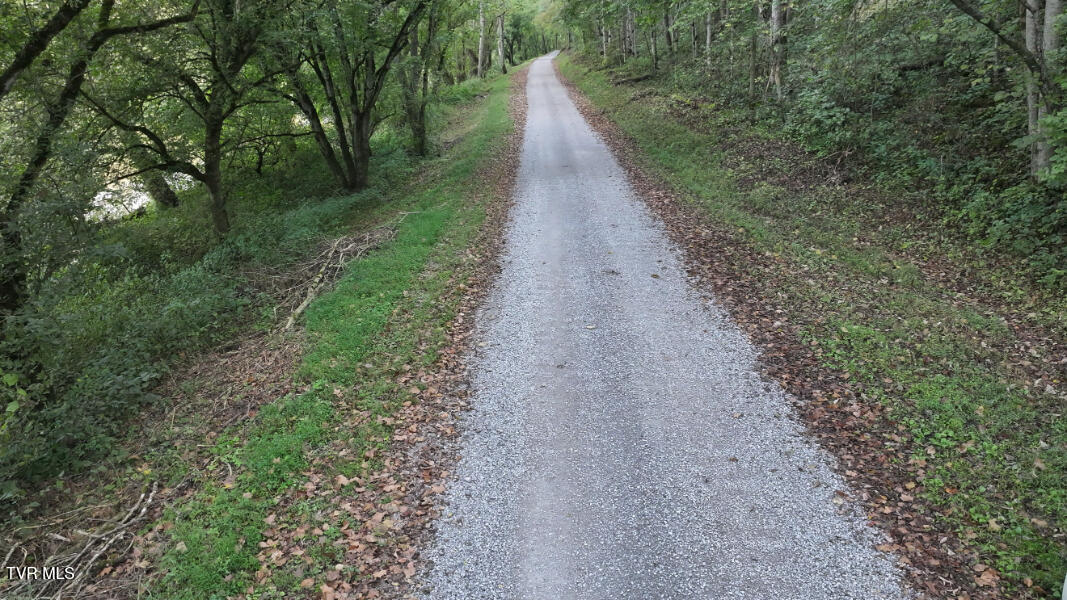 Photo #44: 10696 Horton Ford Road