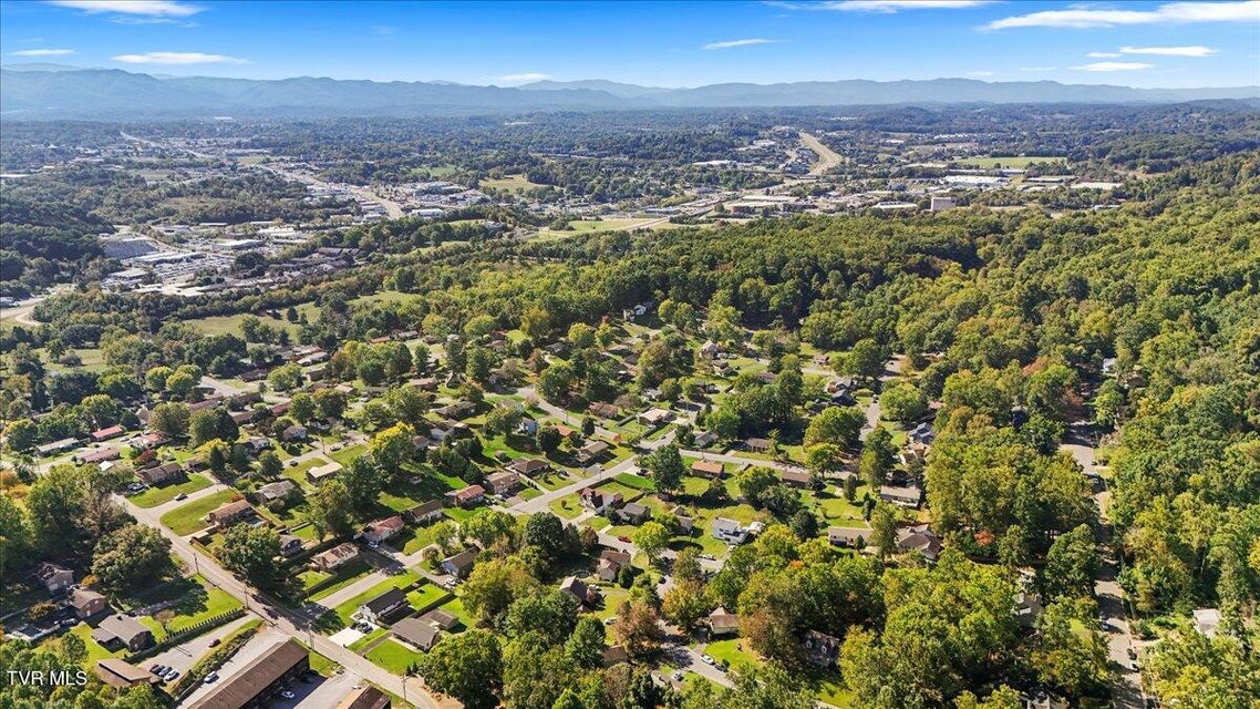 Photo #36: 906 Hanson Drive