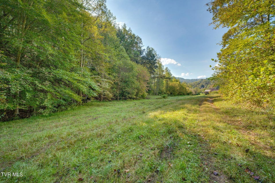 Photo #4: Tbd Clinch River Highway