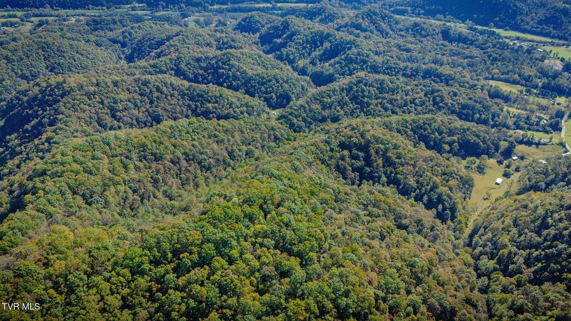 Photo #15: Tbd Clinch River Highway