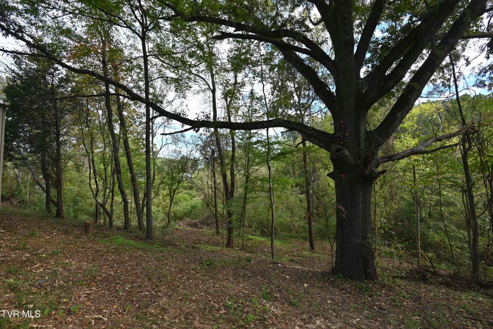 Photo #25: 106 Cradic Drive