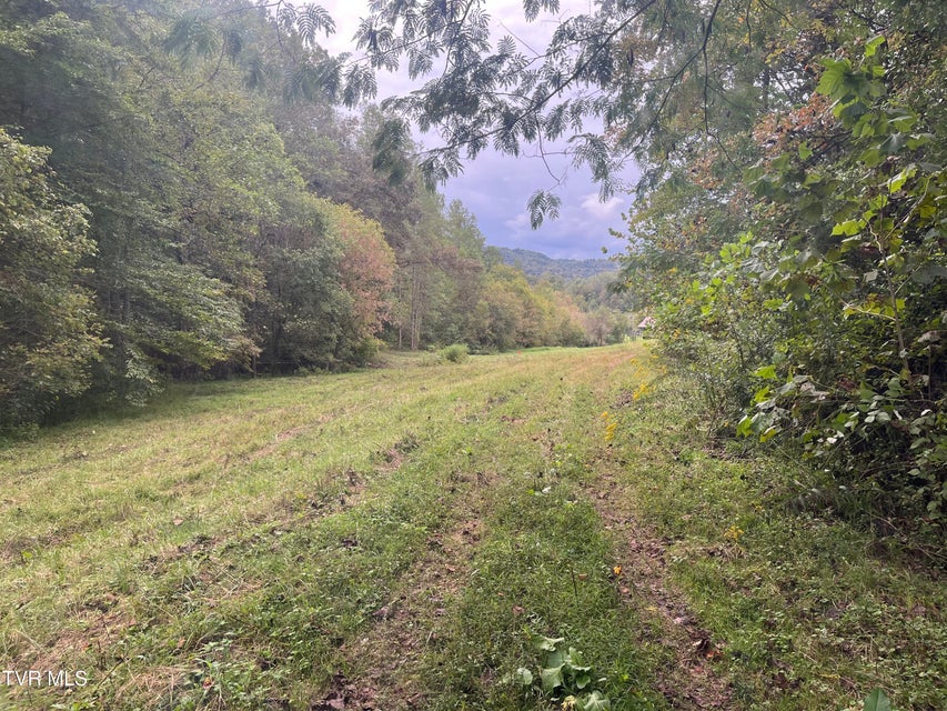 Photo #7: Tbd Clinch River Highway