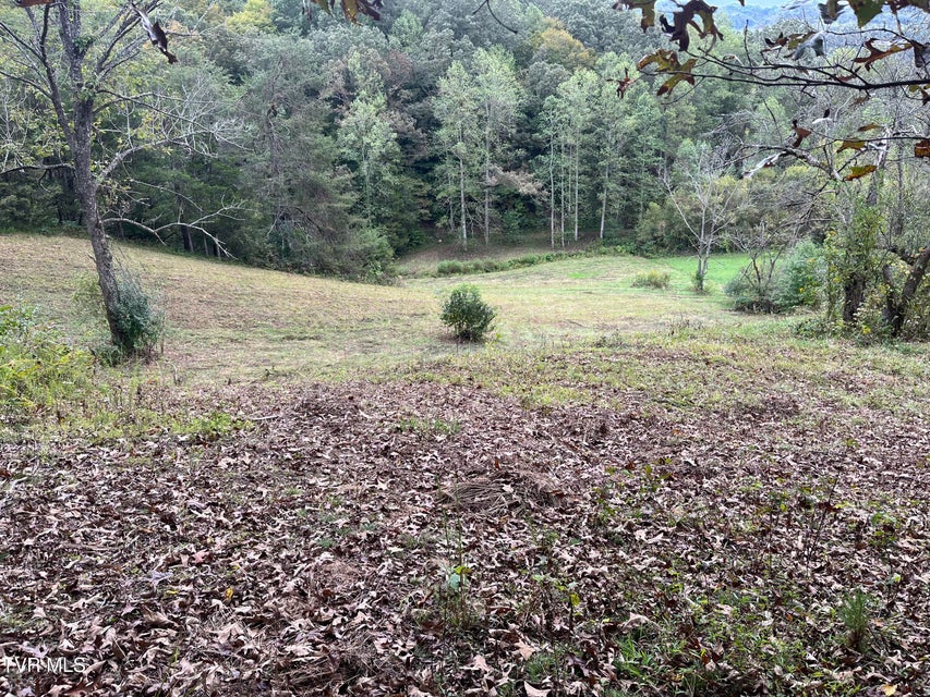 Photo #8: Tbd Clinch River Highway