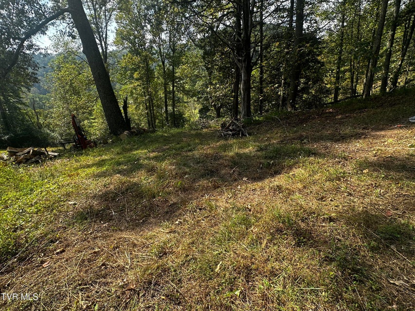 Photo #12: Tbd Clinch River Highway