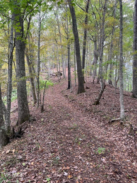 Photo #6: Tbd Clinch River Highway