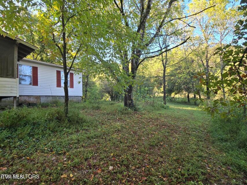 Photo #2: 779 Pawpaw Road