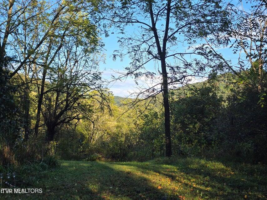 Photo #3: 779 Pawpaw Road