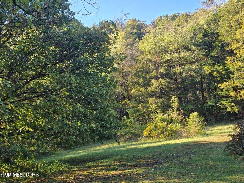 Photo #4: 779 Pawpaw Road