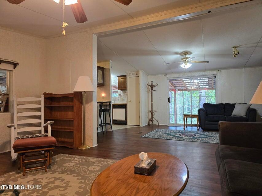 Photo #7: 779 Pawpaw Road