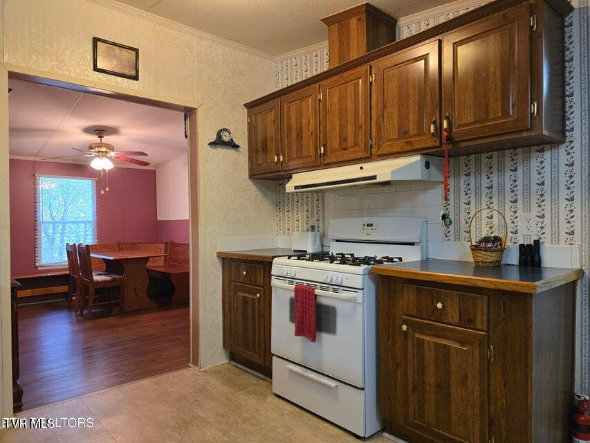 Photo #12: 779 Pawpaw Road
