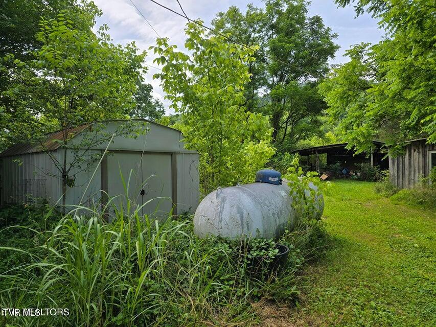 Photo #31: 779 Pawpaw Road