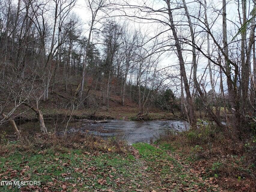 Photo #39: 779 Pawpaw Road