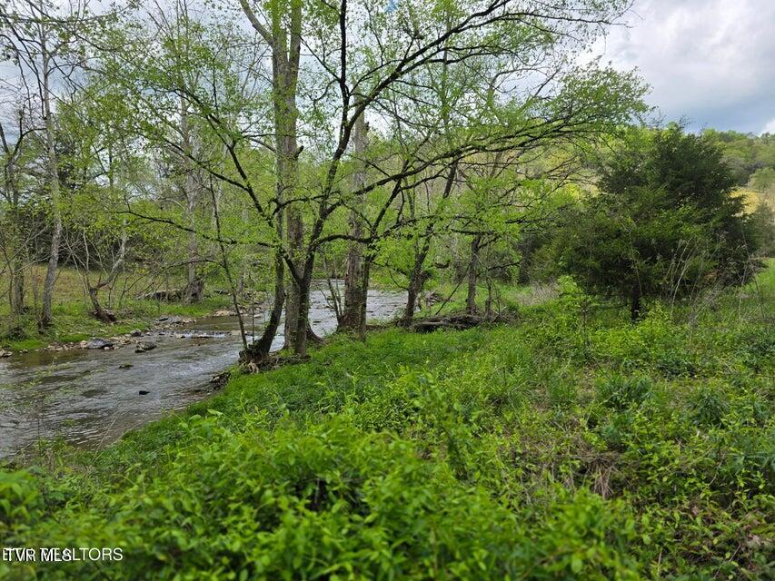 Photo #40: 779 Pawpaw Road