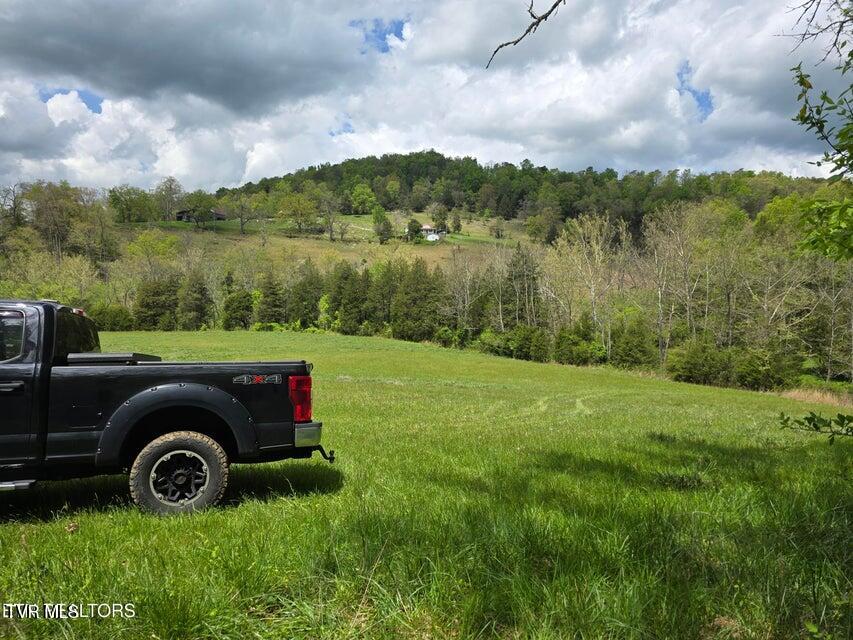 Photo #41: 779 Pawpaw Road