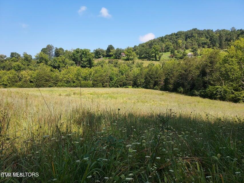 Photo #42: 779 Pawpaw Road