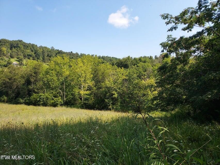 Photo #43: 779 Pawpaw Road