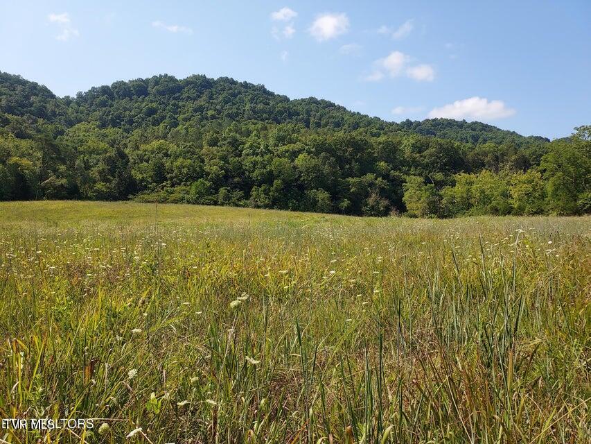 Photo #45: 779 Pawpaw Road