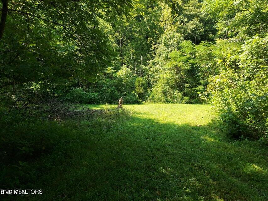 Photo #48: 779 Pawpaw Road