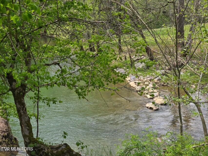 Photo #51: 779 Pawpaw Road
