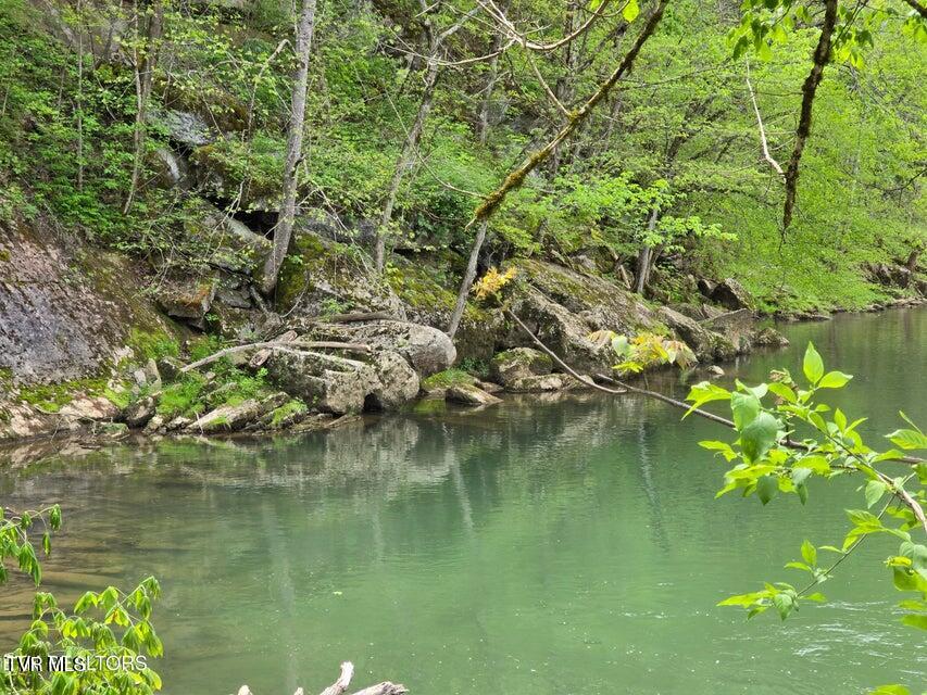 Photo #53: 779 Pawpaw Road